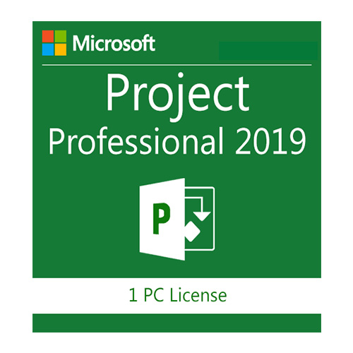 Microsoft Project 2019